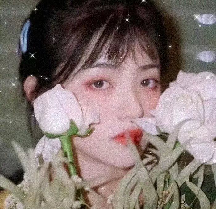法文强化班