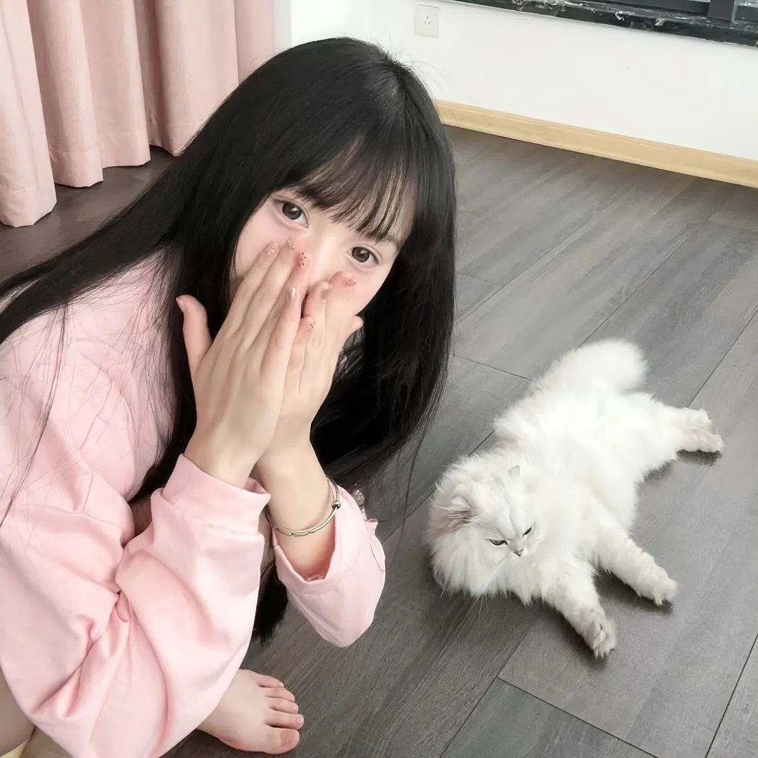 恋恋歌中曲